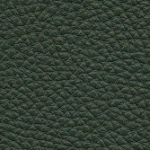 loden green pebbled leather